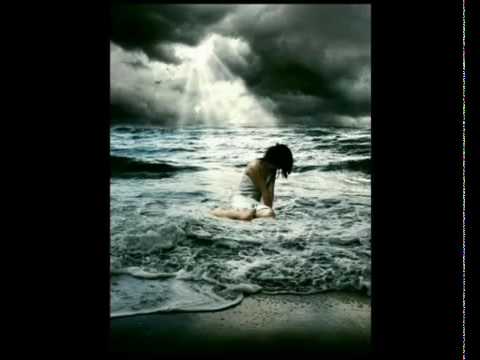 Bushido - Schmetterling