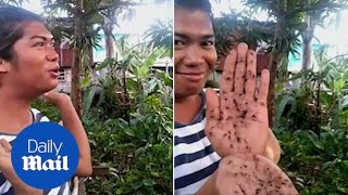 ‘Mosquito whisperer’ demonstrates his unusual killing method