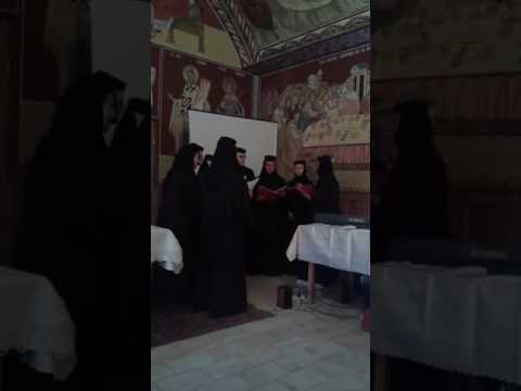 Maicile de la Tisa Silvestri