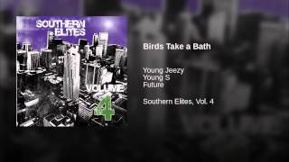 Birds Take a Bath