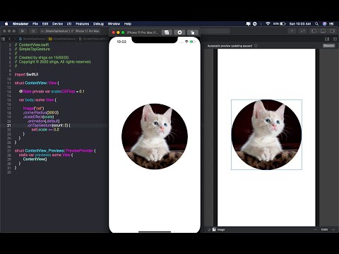 Tap Gesture in SwiftUI