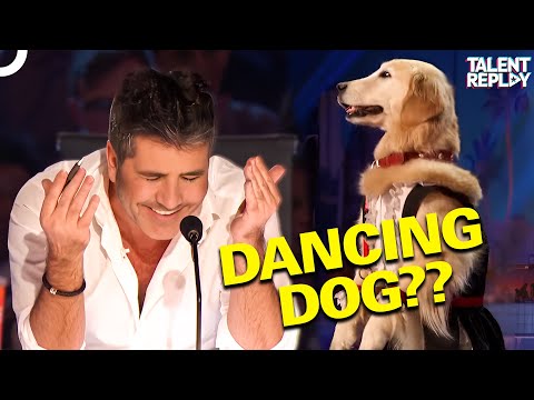 This Dog’s Dance Moves Will BLOW Your Mind! | America's Got Talent