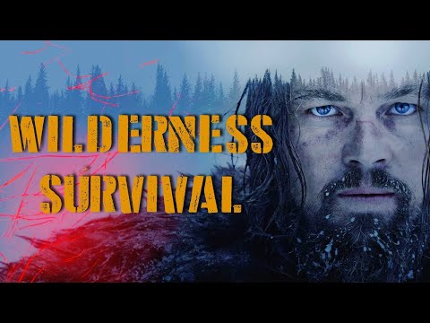 The True Survival Story Behind The Revenant