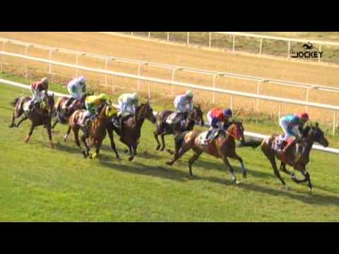 3 Carrera, premio Láser 2000, 17 de enero 2016 - Gran Hipódromo de Andalucía