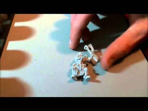 HobbyReview: Grey Hunter with Standard