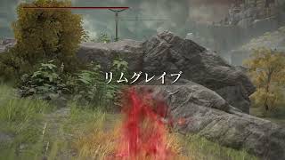 【対人】赤サインで決闘　技魔月隠（自分）VS黄金樹の大盾ビーム（相手）【ELDEN RING】