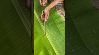 Download lagu Bikin PISTOL Bambu Tradisional Ala Tahun 90βan.π #bolang #petualangan #nostalgia mp3 Download lagu Bikin PISTOL Bambu Tradisional Ala Tahun 90βan.π #bolang #petualangan #nostalgia mp3