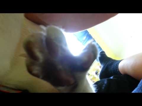 I SPREAD MY TOES BACK AND FORTH!