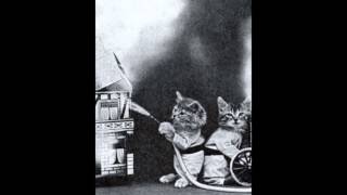 Widespread Panic with The Megablasters - Mama Told Me Not To Come 10-18-08