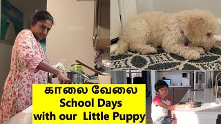 Busy Morning routine  with Puppy & Kids ~Sending Kids to School with our Puppy~ Family Traveler VLOG