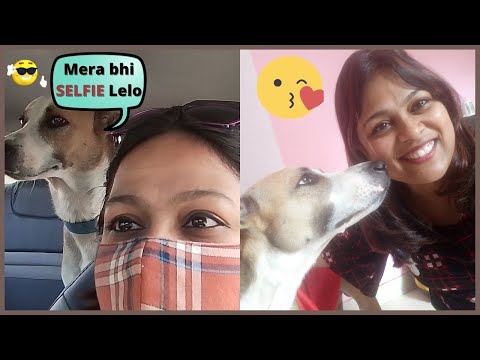 MICI DOG ko ghumane leke gaye | Travelling with DOG in CAR 🐶 | Daily Vlog | Yashaswin Vlogger