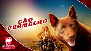 Cão Vermelho