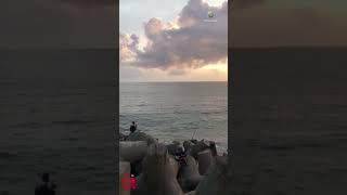 Download lagu SENJA DI KOTA #kotapalu #palu #senja #senjasore #pantai #pantaitalise #pantaisuwuk #wisatakotapalu mp3