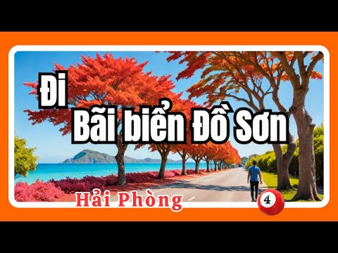 Đỏ rực Hoa Phượng tại Bãi biển Đồ Sơn | Hải Phòng 04