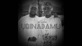 Sh Hafidh New Qaswida - UBINADAMU (Official Audio 