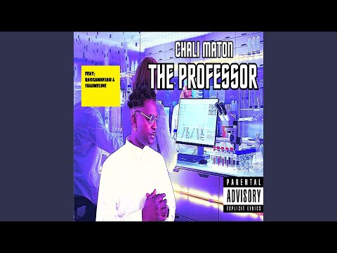 The Professor (feat. Shaimeline & RaggamanJah)