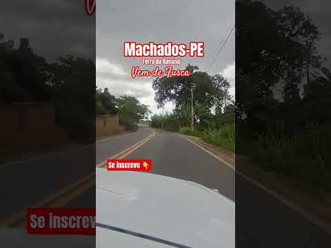 Machados Terra da Banana