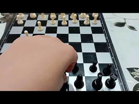 Kako Izvesti sah mat u 2 poteza