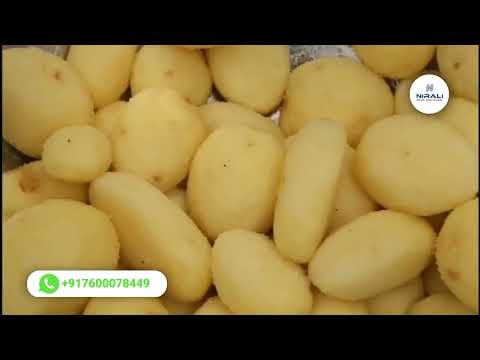 Potato Peeler  Machine