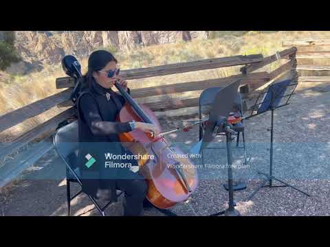 Promotional video thumbnail 2 for Violin & Cello