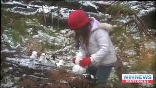 Cold Snap hits Australia~Baby its cold outside!