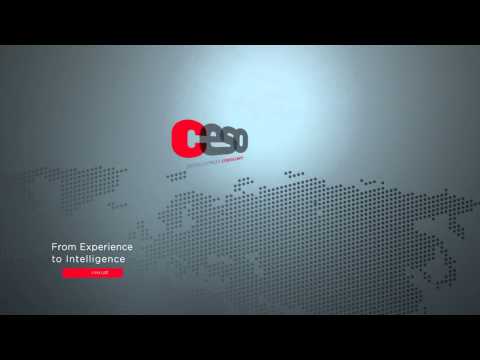 CESO Development Consultants