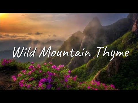 Wild Mountain Thyme - Ella Roberts