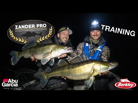 Zander Pro! Freddy and Timo are training!