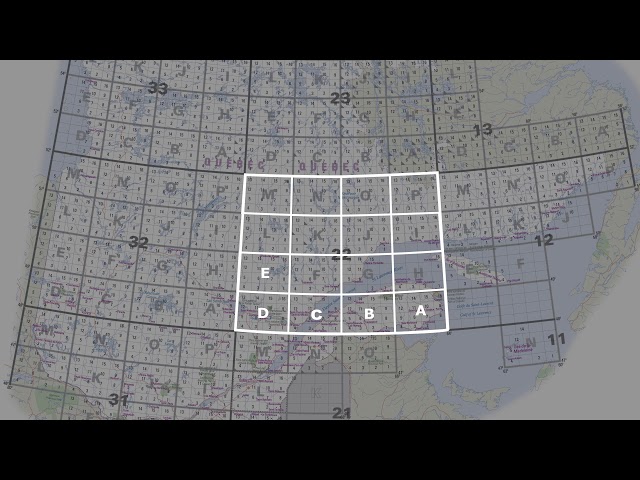 Visite de la Cartothèque