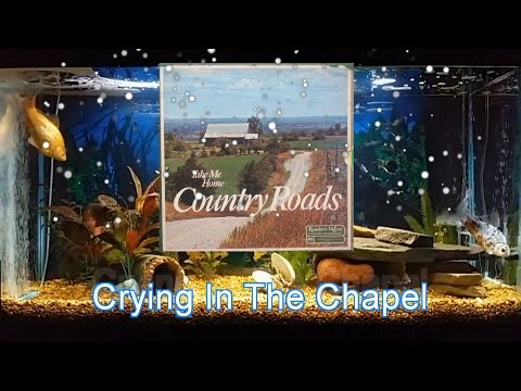 Crying In The Chapel   Rex Allen