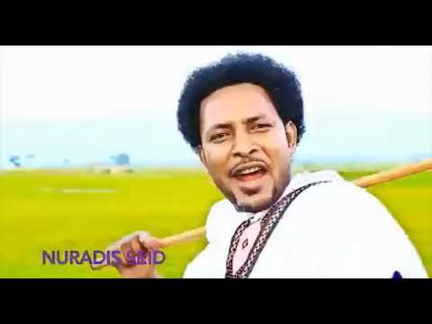 በለው በወንጭፉ ኑር አዲስ ሰይድ