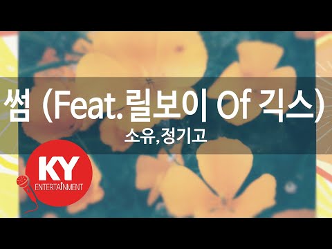 썸 (Feat.릴보이 Of 긱스) - 소유,정기고(Some - SoYou,JunggiGo)(Lil Boi of Geeks)(KY.77894) / KY Karaoke