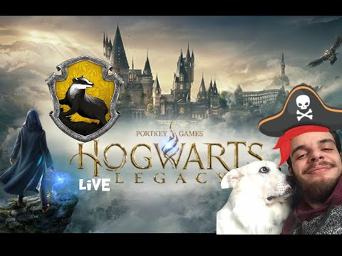 YES I'm Live Again - Hogwarts Legacy - 4