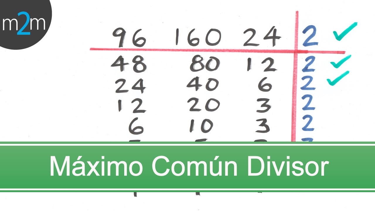 Que es el Máximo Común Divisor │ MCD