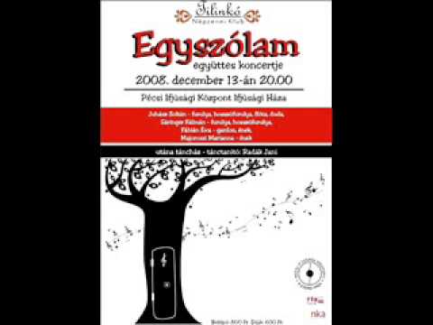 Somogyi kanásznóták -  Egyszólam és  Berecz András