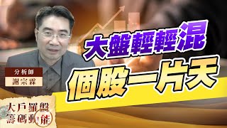 大盤輕輕混 個股一片天 (圖)
