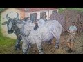 Villa-Lobos - Quarteto Bessler-Reis (1988) String Quartet No 8, W446 (1944)