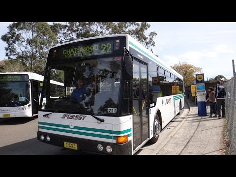 Forest Coachlines M/O 8225 - Mercedes-Benz O405NH (ZF/Bustech)