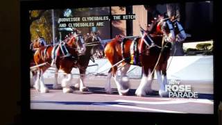 The Rose Parade