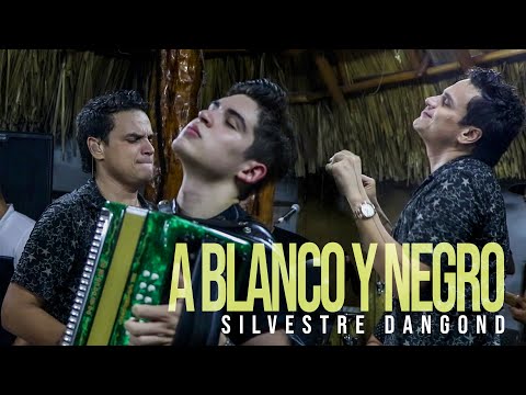 A Blanco y Negro - Silvestre Dangond, Ruben Lanao (En Vivo)