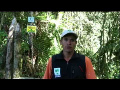 Compartir este video de Proaves Colombia