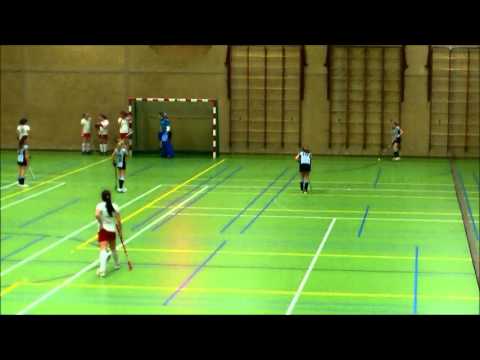 kampioenswedstrijd zaal 2013 Pelikaan D3