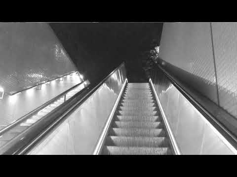 Phonoboy   It's 2020