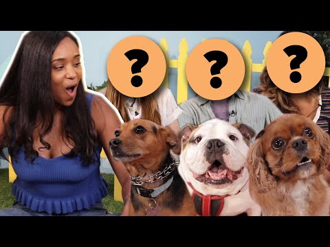 Single Woman Picks A Date Based On Their Dog