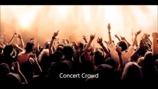 Prodigy - voodoo people (CP´s big beat version)