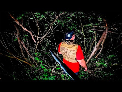 OUVIMOS CHORO NA FLORESTA DA MULHER SEM ROSTO