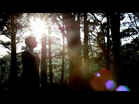 Mononoke Hime video