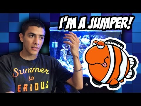 I Think My Clownfish is CRAZY!