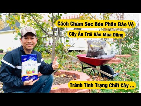 , title : 'Cách Bón Phân Chăm Sóc Cây Mùa Đông không Bị Chết Phát Triển Tốt Hơn Khi Vào Xuân'