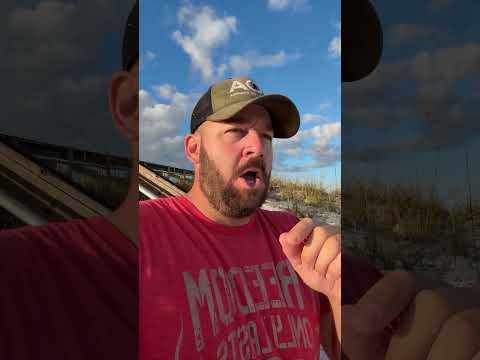 Expect Shenanigans IMMINENTLY… #shortsvideo #congress #langley #goa #shortsfeed #atf #bondi Thumbnail